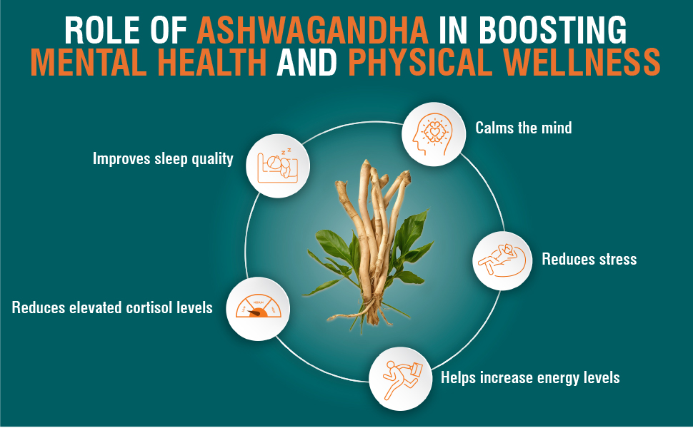 Himalaya Ashvagandha - General Wellness Tablets, 60 Tablets - Pack Of 2