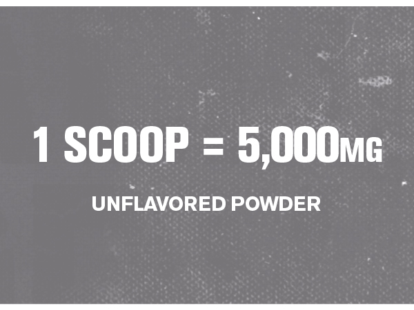 Jacked Factory Creatine Monohydrate Powder 150g - 5g Daily Micronized Creatine Monohydrate for Men and Women, Vegan-Friendly, Third-Party Tested - 30 Servings, Unflavored