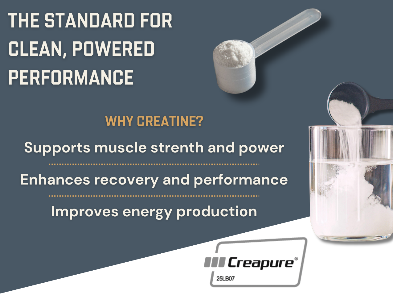 Anea Creatine Monohydrate, Micronized, Creapure, Unflavored, 100 Servings