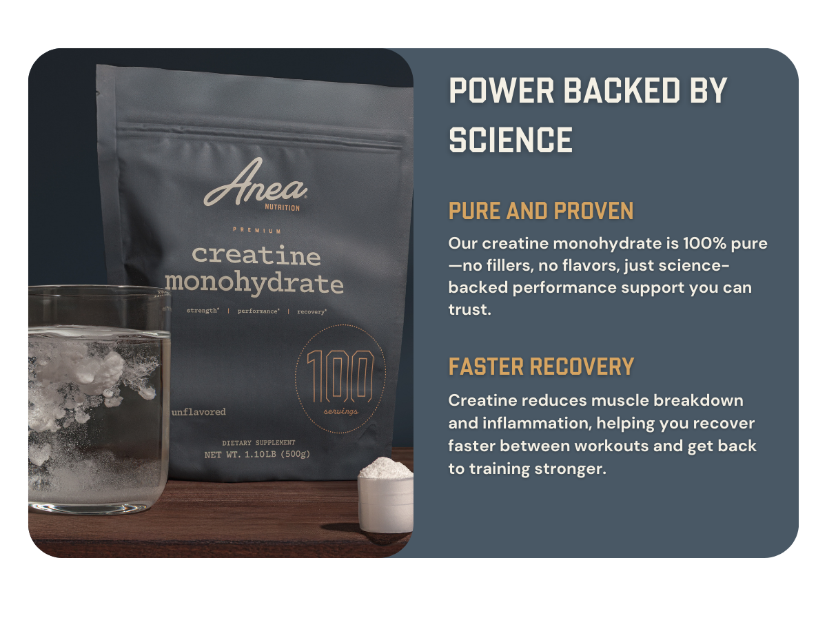 Anea Creatine Monohydrate, Micronized, Creapure, Unflavored, 100 Servings