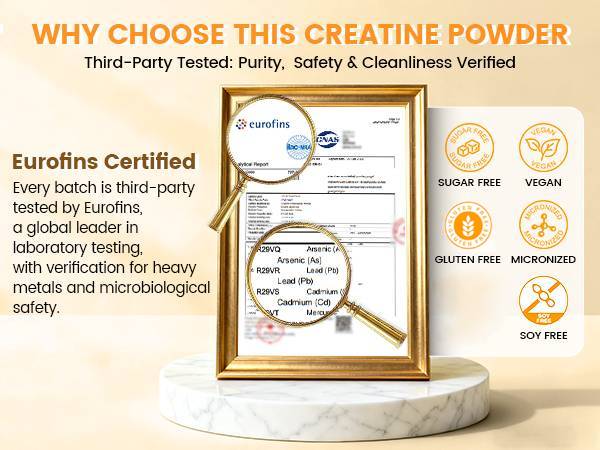 Creatine Monohydrate Micronized Powder 10 Single-Serve Packs 5g
