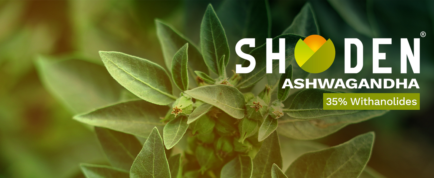 Nootropics Depot Shoden Ashwagandha Extract Capsules | 120mg | 30 Count | 35% Withanolides