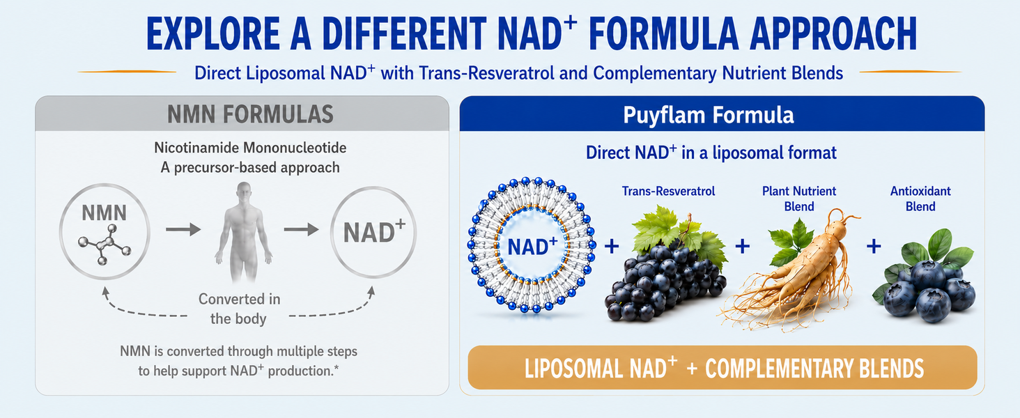 NAD Supplement, 12-in-1 Liposomal NAD+ Plus with Trans-Resveratrol, CoQ10, PQQ & Alpha Lipoic Acid, Healthy Aging & Cellular Wellness Support for Women and Men, NMN & NMNH Alternative, 90 Caps