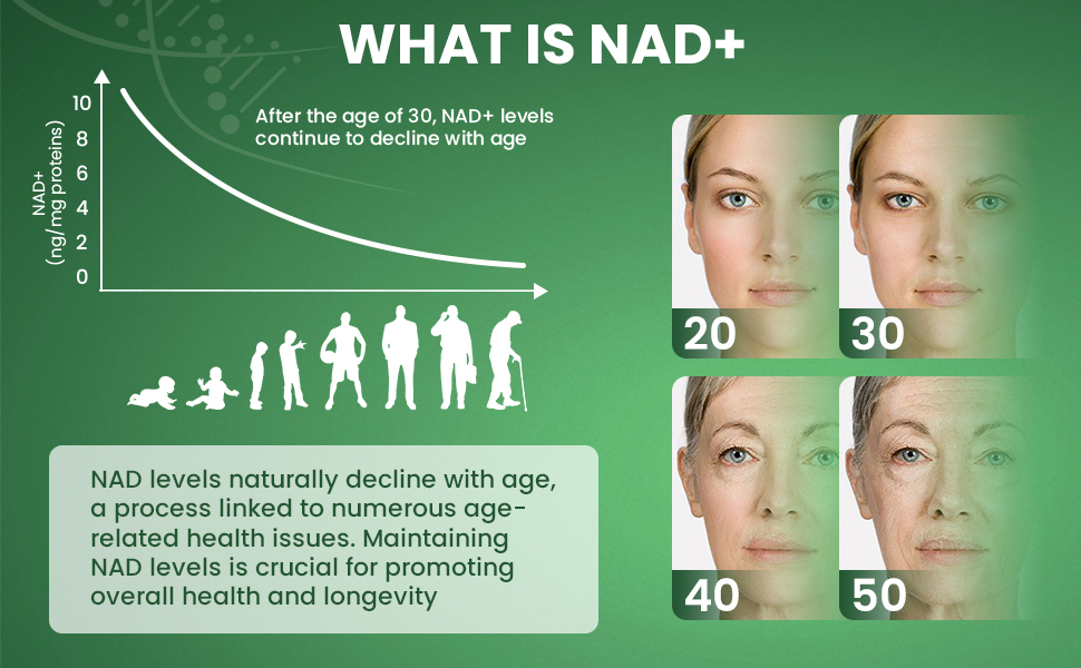 NAD+ Supplement - Liposomal Nicotinamide Riboside & Resveratrol 900mg