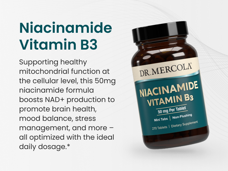 Dr. Mercola Niacinamide Vitamin B3, 50 mg, 270 Tablets (90 Servings)