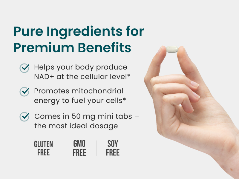 Dr. Mercola Niacinamide Vitamin B3, 50 mg, 270 Tablets (90 Servings)