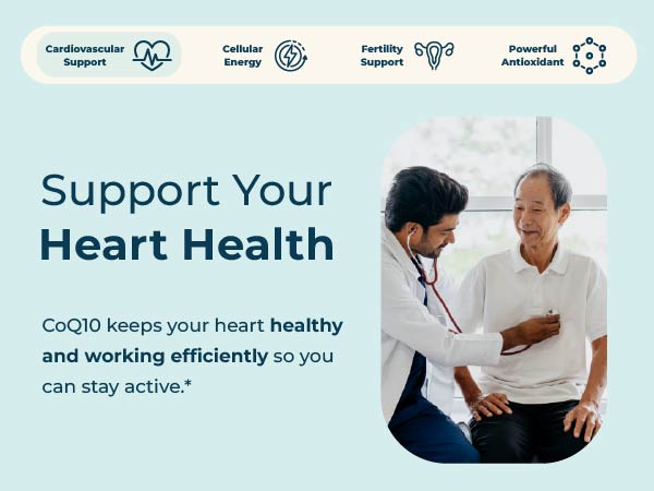 Pharma Nord - The Original CoQ10 • 100 mg High Absorption • 60 Softgels