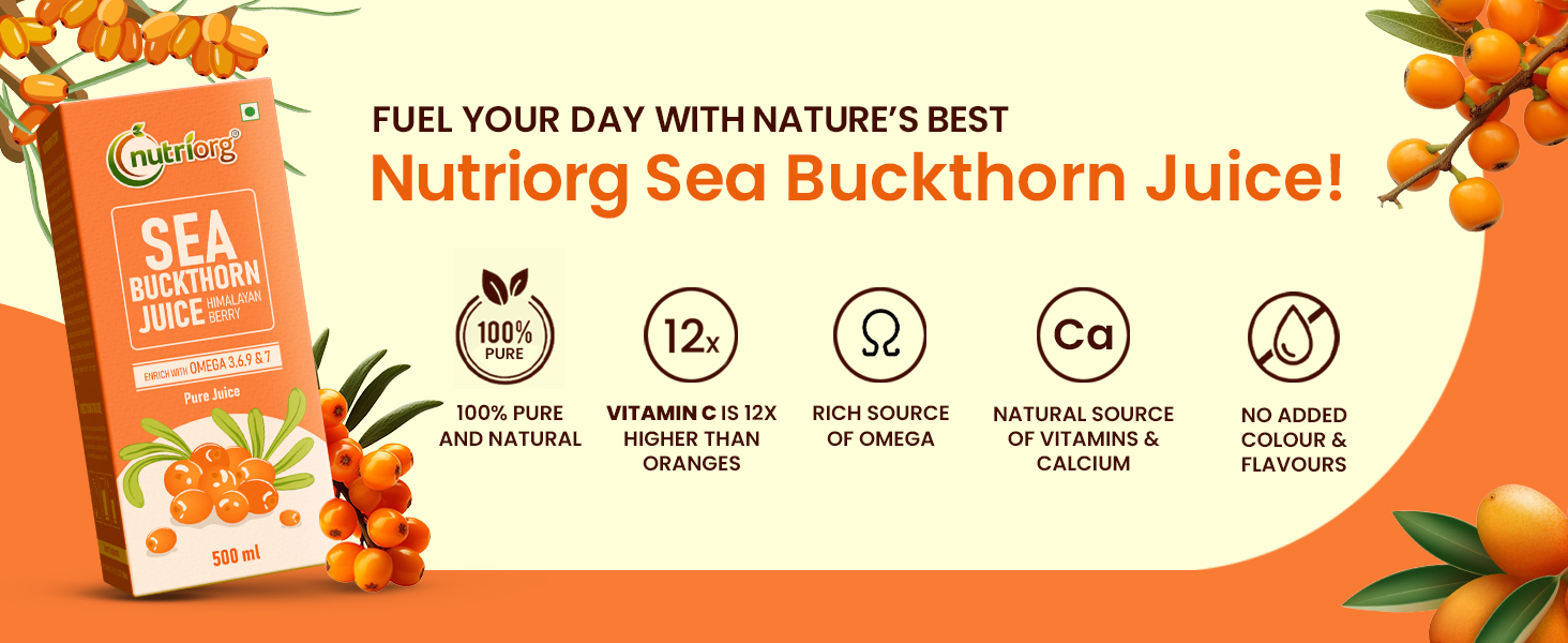 Nutriorg Pure Sea Buckthorn Juice Concentrate Pulp 1L (500ml*2) | Cold Pressed | 100% Himalayan Berry Pulp | Omega 3,6,7,9 & Vitamin C | Best for Immunity & Antioxidant Rich | Makes 50 Glasses | No Added Sugar & Colour