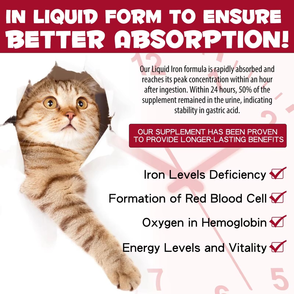 liquid-iron-supplements-for-cats-and-kit-2.jpg