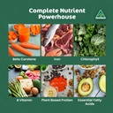 biogenesis-total-wellness-green-stack-sp-2.jpg