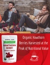 1-5-lbs-24-oz-100-organic-hawthorn-berri-4.jpg