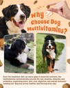 24-in-1-multivitamin-dog-supplement-300--5.jpg
