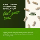 swanson-psyllium-husk-dietary-fiber-supp-5.jpg