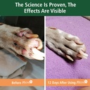 mervue-skin-and-coat-supplement-for-dogs-4.jpg