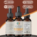 levita8-premium-mushroom-drops-for-adult-3.jpg