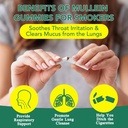 mullein-gummies-for-lungs-mullein-extrac-4.jpg