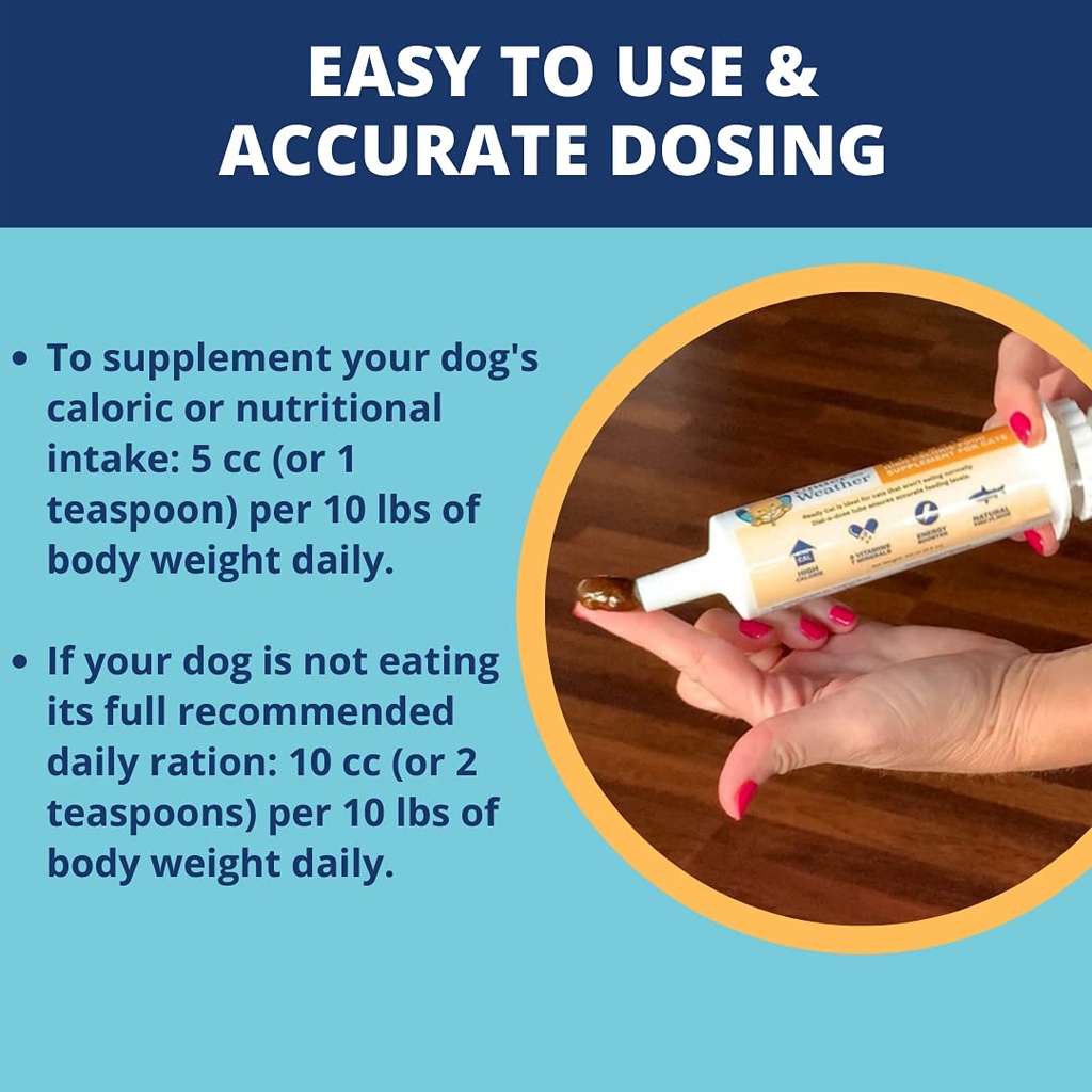 under-the-weather-pet-ready-cal-for-dogs-4.jpg