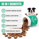 dog-vitamins-and-supplements-16-in-1-mul-2.jpg