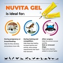 premium-nutritional-and-vitamin-gel-for--2.jpg