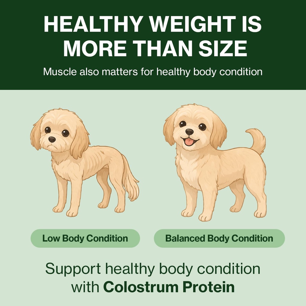 doctor-by-colostrum-protein-for-dogs-and-6.jpg