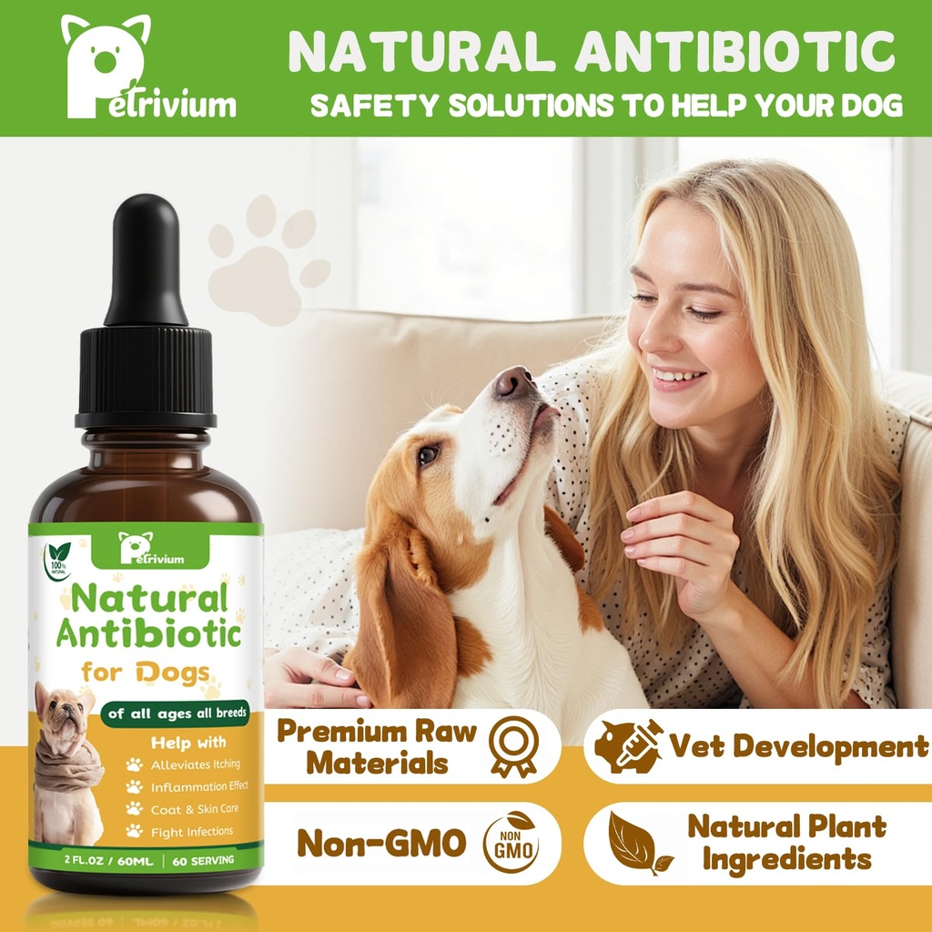 dogs-antibiotics-for-infection-coughs-ut-3.jpg