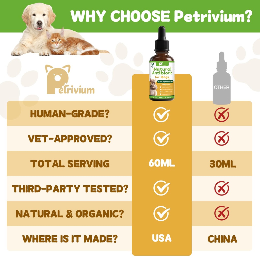 dogs-antibiotics-for-infection-coughs-ut-6.jpg