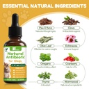 dogs-antibiotics-for-infection-coughs-ut-4.jpg