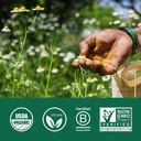 organic-india-neem-herbal-supplement-sup-6.jpg