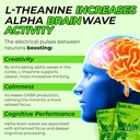 80mg-caffeine-160mg-l-theanine-focus-enh-5.jpg