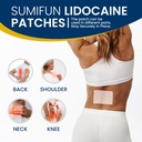 sumifun-4-lidocaine-pain-relief-patches--2.jpg