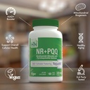 health-thru-nutrition-nad-activator-nr-w-4.jpg