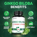 satoomi-1000mg-ginkgo-biloba-supplements-5.jpg