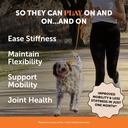 virtual-bundle-hip-joint-health-chews-ch-2.jpg