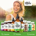 wild-organic-ginkgo-biloba-extract-drops-5.jpg