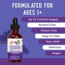 maryruth-organics-elderberry-syrup-extra-3.jpg