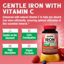 iron-supplement-65mg-with-vitamin-c-stom-3.jpg