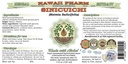 sinicuichi-alcohol-free-liquid-extract-s-2.jpg