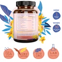 brain-booster-gingko-biloba-supplement-n-2.jpg