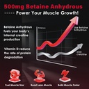 zebora-micronized-creatine-monohydrate-p-4.jpg