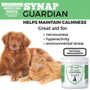 synap-guardian-nervous-system-support-an-3.jpg