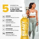 ready-clear-protein-water-20g-whey-prote-3.jpg