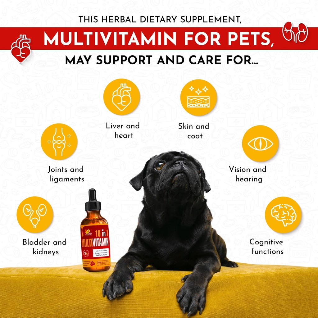 cat-vitamins-for-indoor-cats-with-glucos-2.jpg