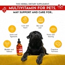 cat-vitamins-for-indoor-cats-with-glucos-2.jpg