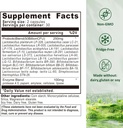 probiotics-for-women-men---probiotic-50--2.jpg