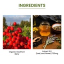 green-organic-supplements-hawthorn-berry-4.jpg