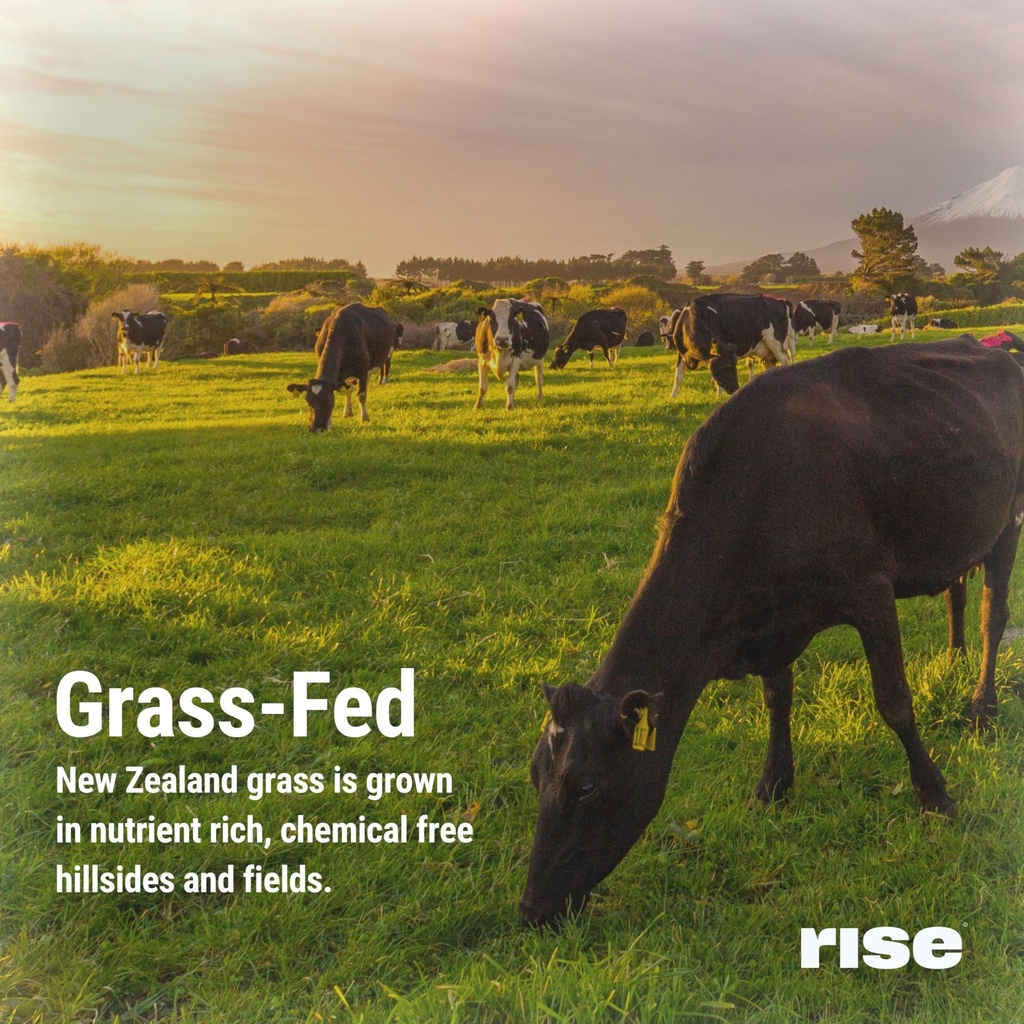 rise-grass-fed-whey-protein-powder-vanil-6.jpg