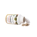inspired-nutrition-foundation-240-count-6.jpg