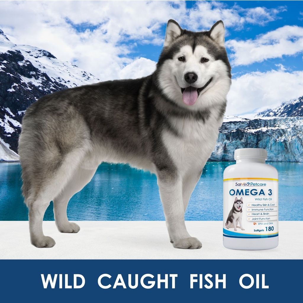 omega-3-fish-oil-for-dogs-natural-pet-su-3.jpg