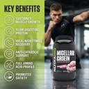 nutrabio-casein-protein-powder-micellar--3.jpg