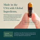 gaia-herbs-agile-mind-brain-support-herb-4.jpg